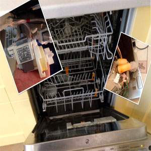 Срочный ремонт посудомоечных машин на дому