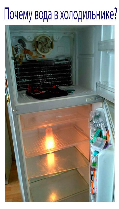 Почему вода в холодильнике под ящиками с овощами
